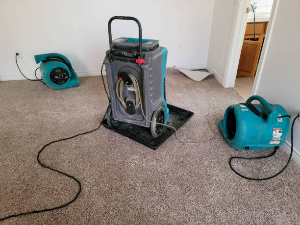 Best Water damage restoration company  in Bergenfield, NJ