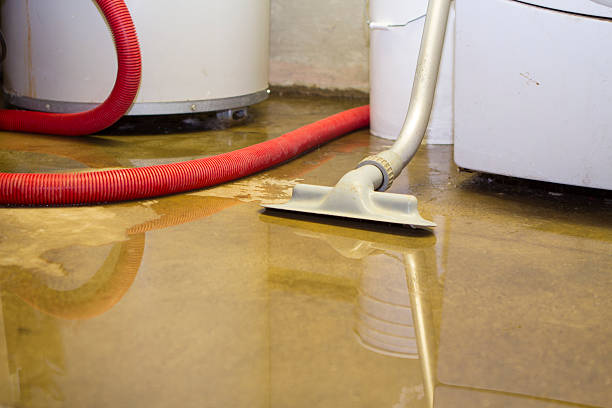 Trusted Bergenfield, NJ Water damage restoration Experts