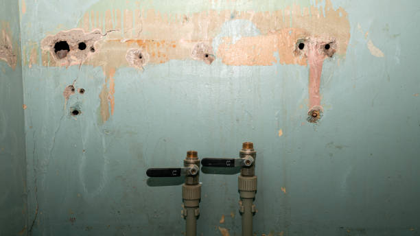 Best Water damage cleanup near me  in Bergenfield, NJ