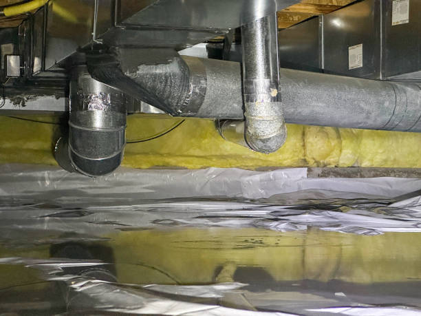 Best Professional water damage repair  in Bergenfield, NJ