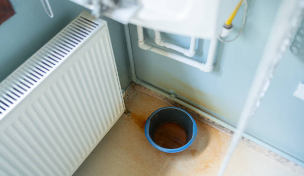 Best Mold removal after water damage  in Bergenfield, NJ